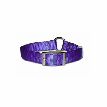 Ring-in-Center Bravo Dog Collar 3/4 Inch Wide