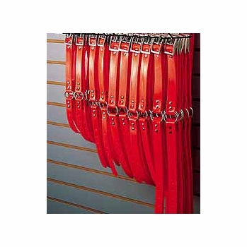 Ring-in-Center SunGlo Dog Collar Display      