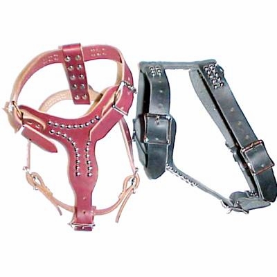 Small Latigo Leather Studded Dog Harness