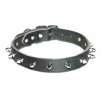 Spiked Leather Dog Collar 1 inch wide 
