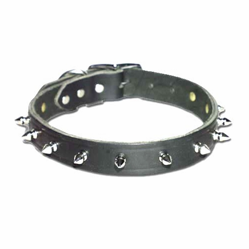 Spiked Leather Dog Collar 1 inch wide 