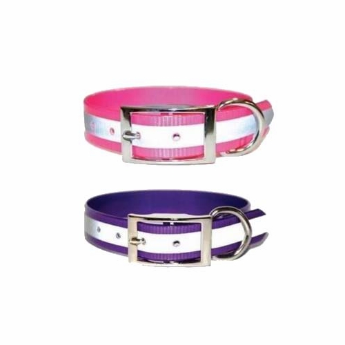 SunGlo Collars with Reflective Stripe 1 in wide Regular