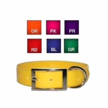 SunGlo Dog Collar Ring Next to Buckle 1 in wide