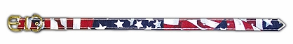 USA Stars And Stripes 1/2 Wide Dog Collar
