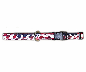 USA Stars And Stripes 3/4 Inch Wide