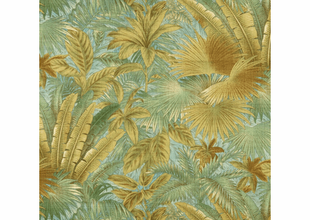 bahamian-breeze-surf