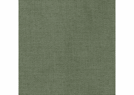 bliss-aloe sunbrella fabric