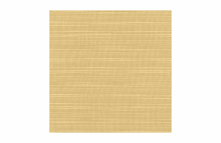 Dupione Bamboo Sunbrella fabric 