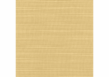 Dupione Bamboo Sunbrella fabric 