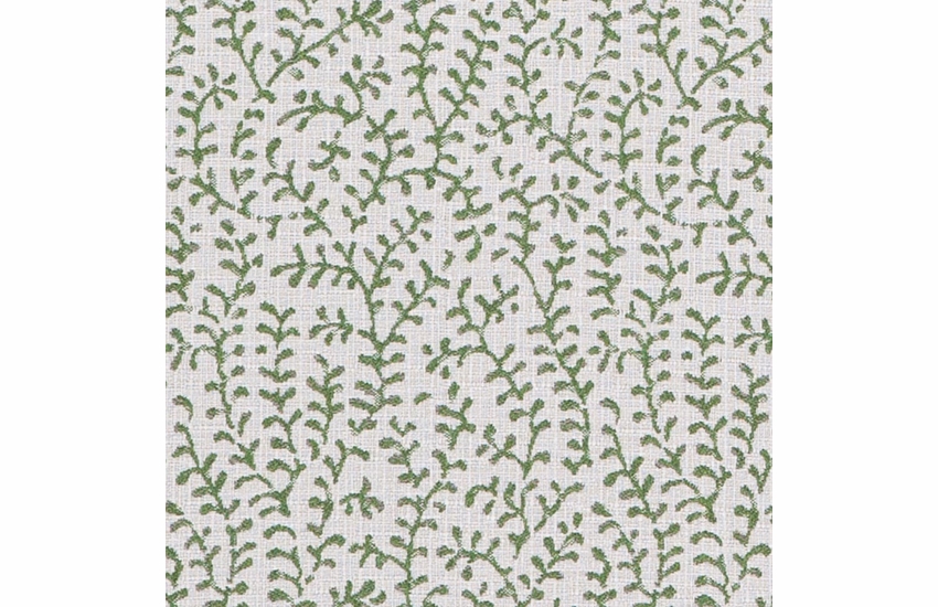 eberly-leaf - C Grade