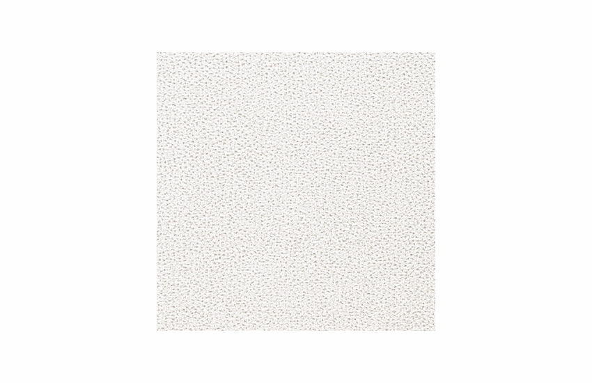 fallow-snow - C Grade