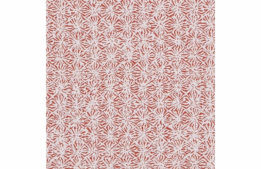 nimbi-guava - C Grade