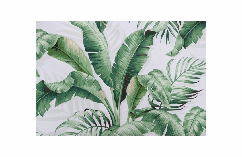 Palmiers Verde (Premium)