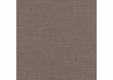 Play Mocha: Sunbrella Fabric