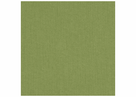 spectrum-cilantro sunbrella fabric