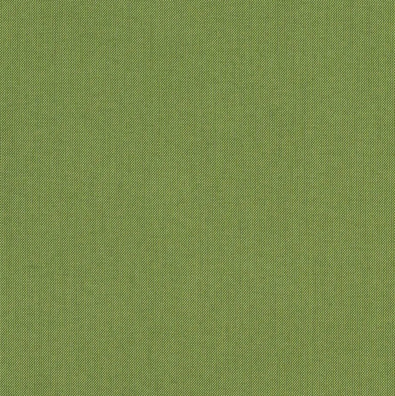 Spectrum Cilantro Sunbrella Fabric