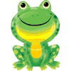 Mr. Froggy