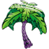 Palm Tree