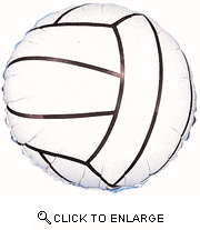 Sports Volley Ball