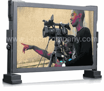 24" Seperable Style LCD Monitor (Model: RS2400HD2)