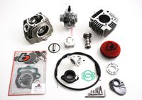 Honda TRX90 114cc Big Bore Kit, Race Head, Mikuni VM26 Carb
