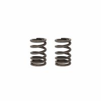 TB Parts Heavy-Duty Valve springs - Kawasaki KLX140 ALL