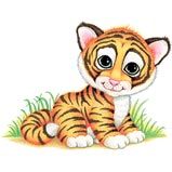 Baby Tiger