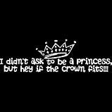 Didn't Ask To Be A Princess