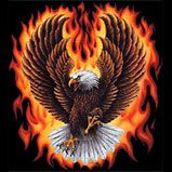 Eagles With Flames