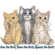 See No Evil - Cat