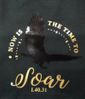Now is the time to Soar, Isa. 40:31 - Black Eagle Now is the time to Soar, Isa. 40:31 - Black Eagle