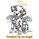 Touched By Angel - Dalmation