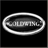 GoldWing Pin