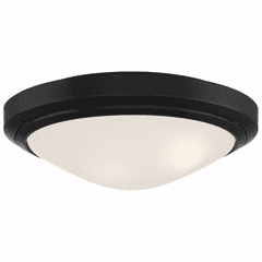 Access Oceanus 2-LT Outdoor LED Flush Mount - Matte Black - 20356LEDDMGLP-MBL/FST