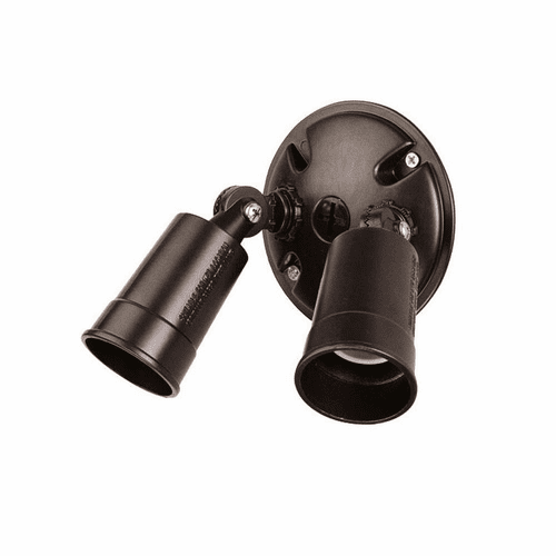 Acclaim 2-Light Outdoor Floodlight - Architectural Bronze - FL1ABZ