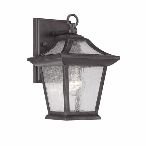 Acclaim Aiken 1-Light Outdoor Wall Light - Black Coral - 39002BC