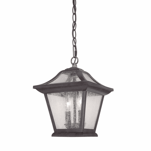Acclaim Aiken 2-Light Outdoor Hanging Lantern - Black Coral - 39016BC