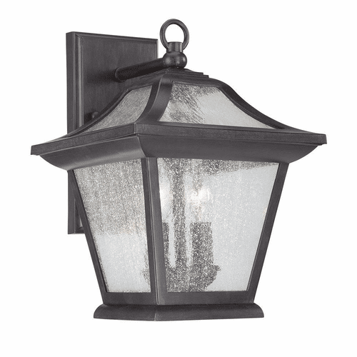 Acclaim Aiken 2-Light Outdoor Wall Light - Black Coral - 39012BC