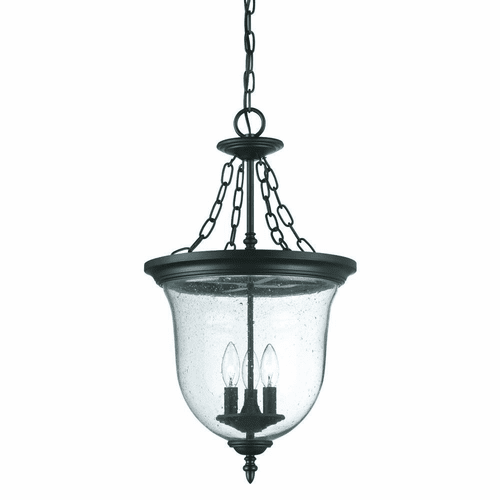 Acclaim Belle 3-Light Outdoor Hanging Lantern - Matte Black - 9316BK