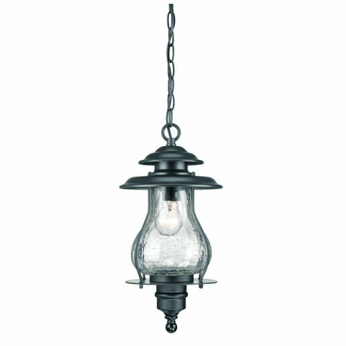 Acclaim Blue Ridge 1-Light Outdoor Hanging Lantern - Matte Black - 8206BK