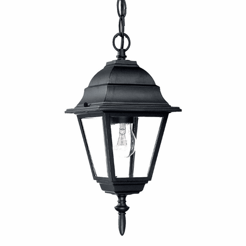 Acclaim Builder's Choice 1-Light Outdoor Hanging Lantern - Matte Black - 4006BK