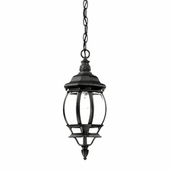 Acclaim Chateau 1-Light Outdoor Hanging Lantern - Matte Black - 5056BK