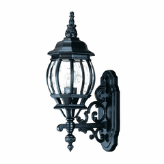 Acclaim Chateau 1-Light Outdoor Wall Light - Matte Black - 5150BK