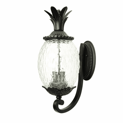 Acclaim Lanai 2-Light Outdoor Wall Light - Black Coral - 7501BC