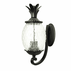 Acclaim Lanai 2-Light Outdoor Wall Light - Black Coral - 7501BC Acclaim Lanai 2-Light Outdoor Wall Light - Black Coral - 7501BC
