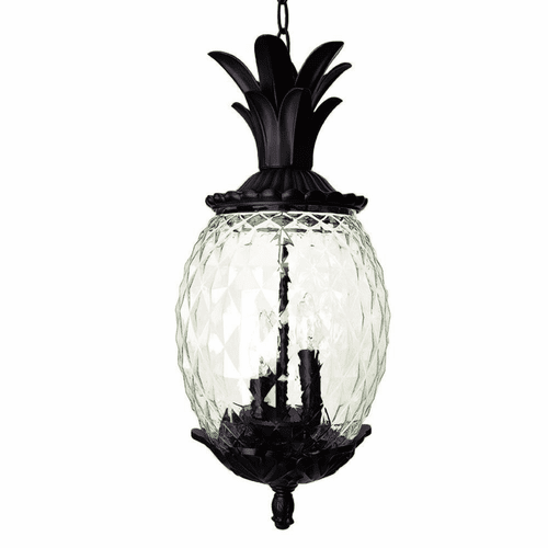 Acclaim Lanai 3-Light Outdoor Hanging Lantern - Black Coral - 7516BC