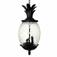 Acclaim Lanai 3-Light Outdoor Hanging Lantern - Black Coral - 7516BC Acclaim Lanai 3-Light Outdoor Hanging Lantern - Black Coral - 7516BC