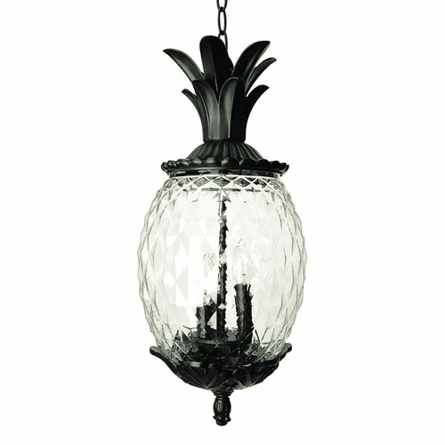 Acclaim Lanai 3-Light Outdoor Hanging Lantern - Matte Black - 7516BK