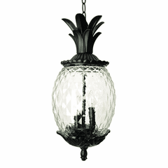Acclaim Lanai 3-Light Outdoor Hanging Lantern - Matte Black - 7516BK
