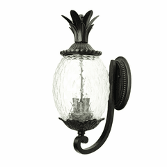 Acclaim Lanai 3-Light Outdoor Wall Light - Black Coral - 7511BC Acclaim Lanai 3-Light Outdoor Wall Light - Black Coral - 7511BC